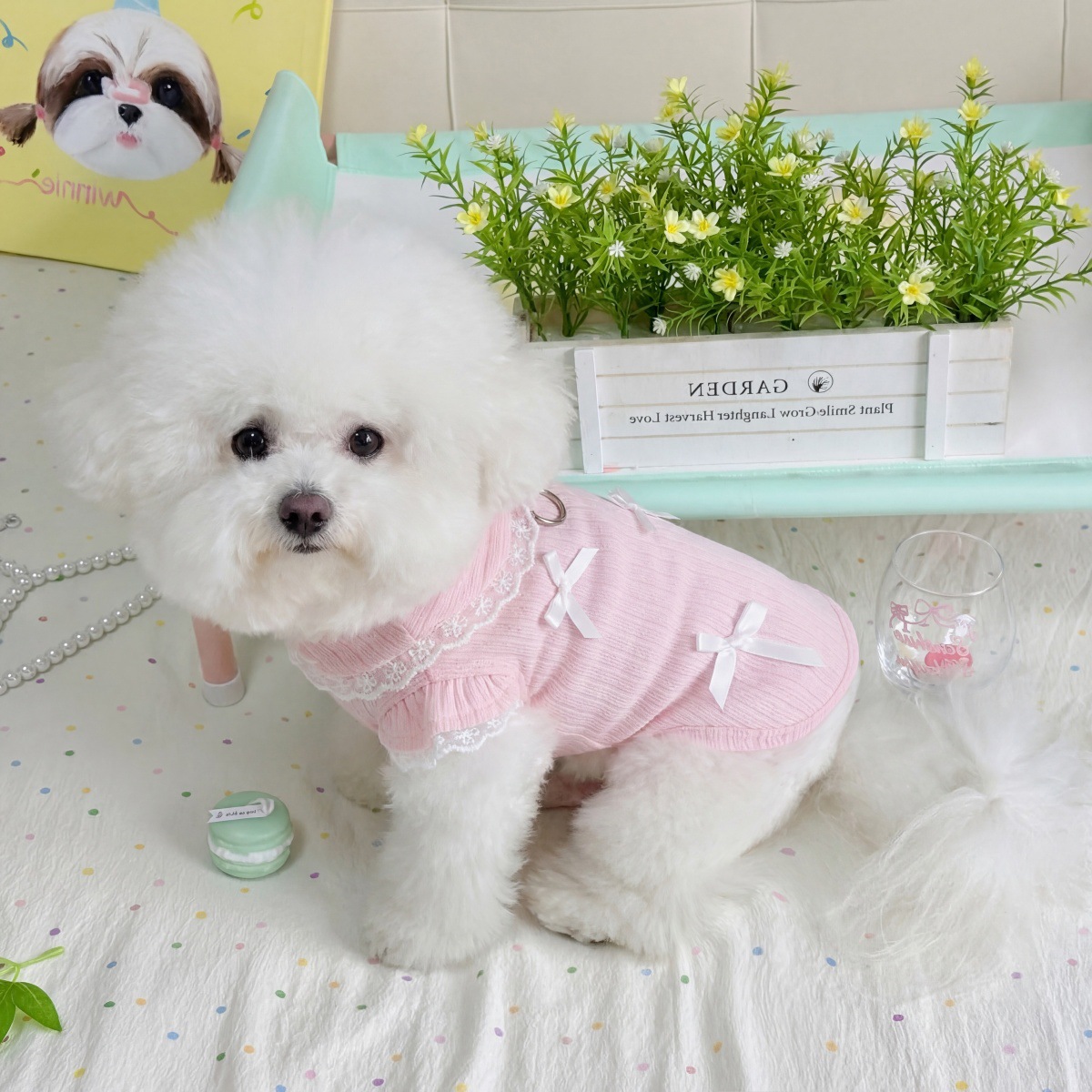 Pet Spring Lace Bow Vest Can P - Lace Teddy Lingerie 评论和价格